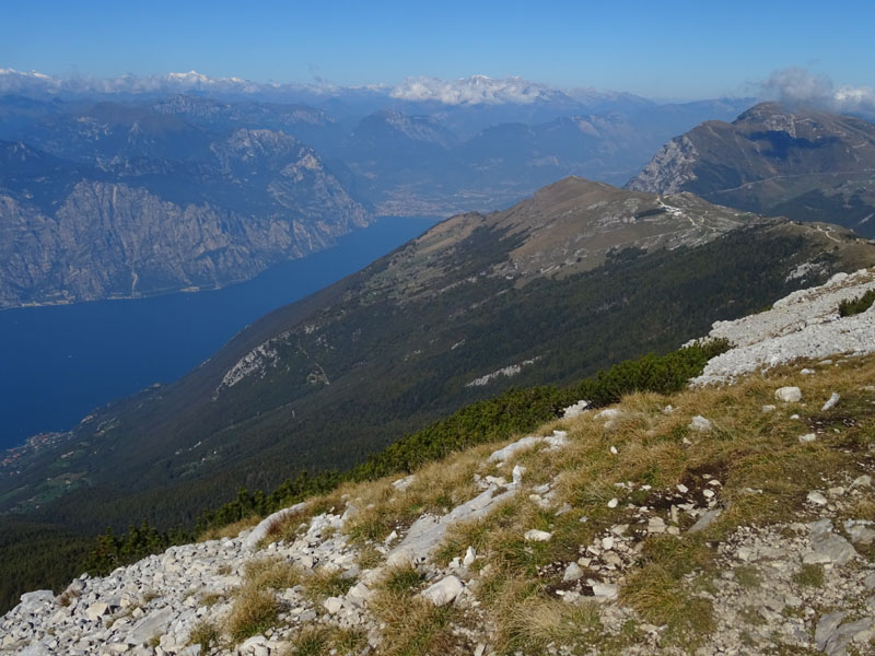 Cima delle Pozzette  m.2132 - Gruppo del Monte Baldo (VR)